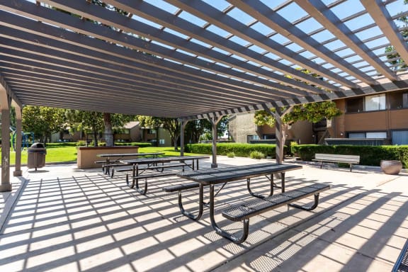 picnic area