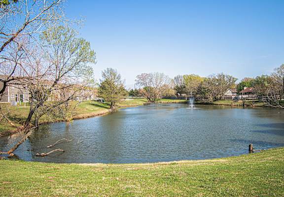 A serene lake surrounded by trees and houses under a clear blue sky.