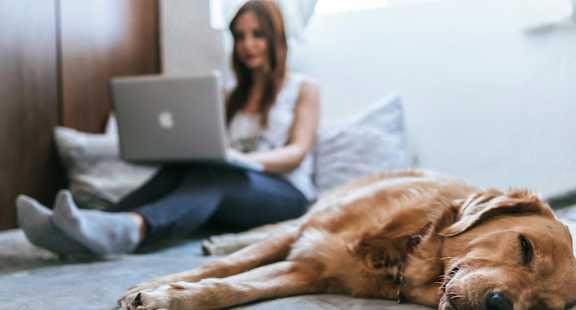 a woman sitting on a bed with a dog using a laptop