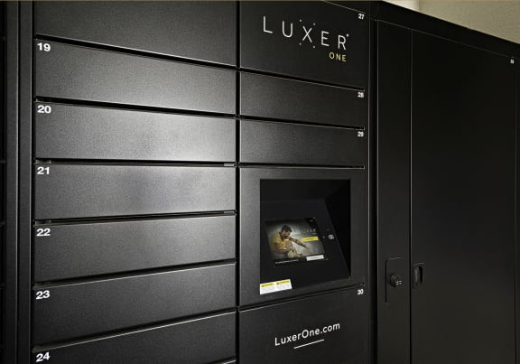 Luxor Package Room Lockers