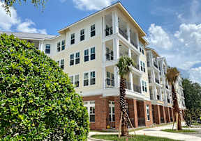 Exterior view of Flats at Tioga Town Center 4-story apartment building near a sidewalk with palm trees and resident parking.