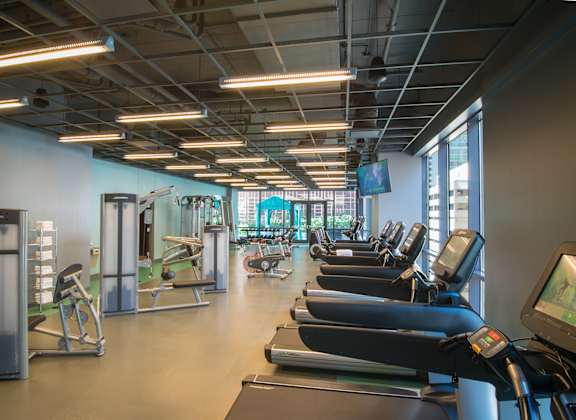 A gym with treadmills and other exercise equipment at 73 East Lake, Chicago, Illinois