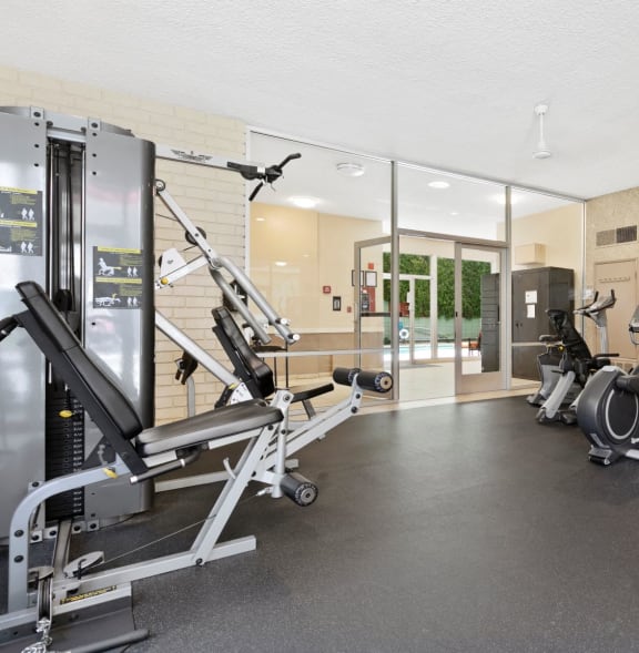 a gym with weights and cardio equipment in a home with glass doors