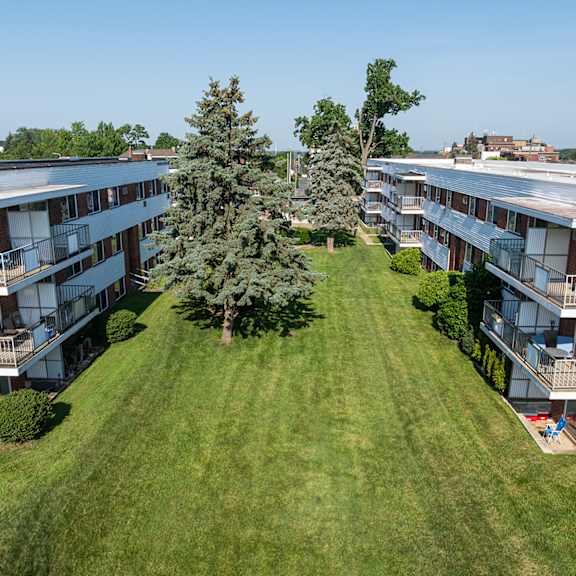 A tree in the middle of a grassy courtyard surrounded by apartment buildings.