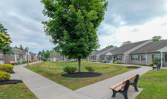 A park area with benches and a tree in the middle of a grassy area at The Birches at Saugerties Apartments, Saugerties, NY, 12477