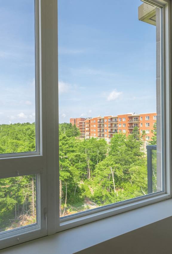 A window with a view of a forest and buildings.