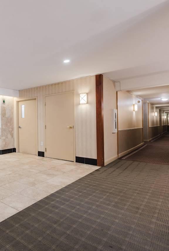 A hallway with a carpeted floor, tiled walls, and a row of elevators.
