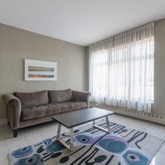 A living room with a brown couch, a coffee table, and a plant.
