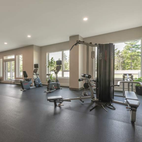 A spacious gym with various exercise equipment and a view of trees outside the windows.