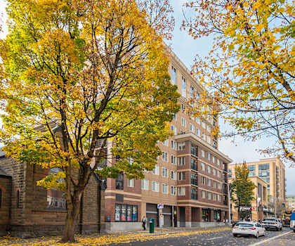A tree with yellow leaves stands in front of a building.