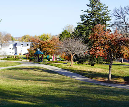 A park with a walking path and trees.