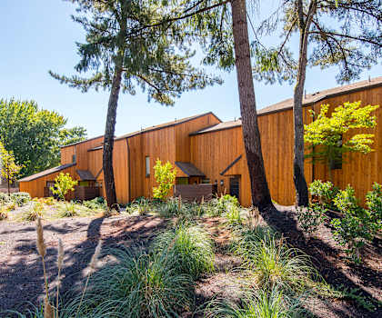 the house is surrounded by trees and plants