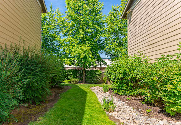 a path between two houses in a garden
