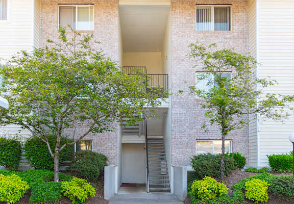 Vista Highlands Breezeway Trees