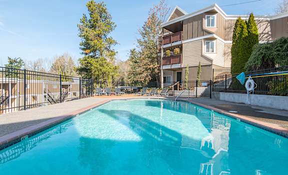 the swimming pool at the falls at rolland park apartments