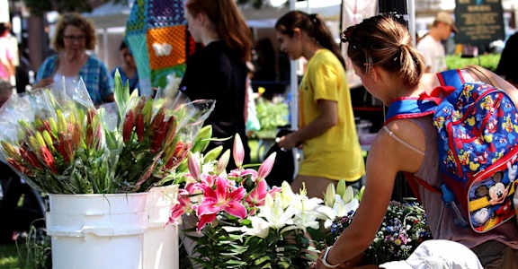 A woman and a child are looking at plants on a table.