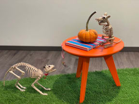 a table with a halloween skeleton and a pumpkin on it
