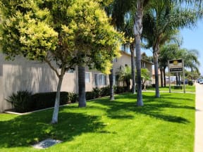 Mature trees and grass at Zenith Place Apartments in Chula Vista, California.