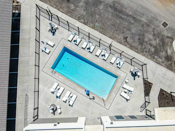 A pool surrounded by sun loungers and umbrellas.