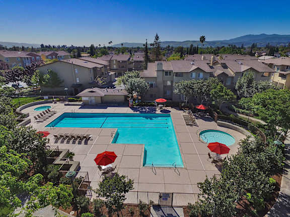 A large swimming pool surrounded by trees and umbrellas in a residential area.