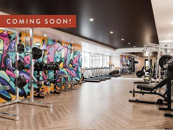 A gym with a variety of equipment is under construction.