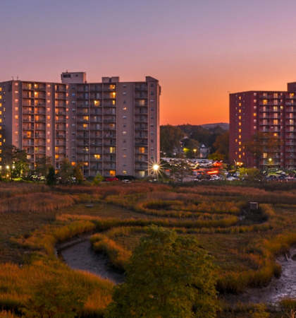 A cityscape with a river running through a grassy field.