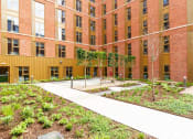 Thumbnail 34 of 37 - Gulson Gardens, Coventry - Courtyard (3)