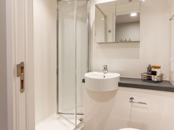 Gulson Gardens, Coventry - Skyline En Suite (6)