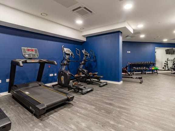 The Gate, Sheffield -  Gym 2