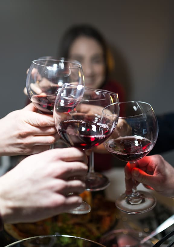 A group of people toasting with wine glasses.