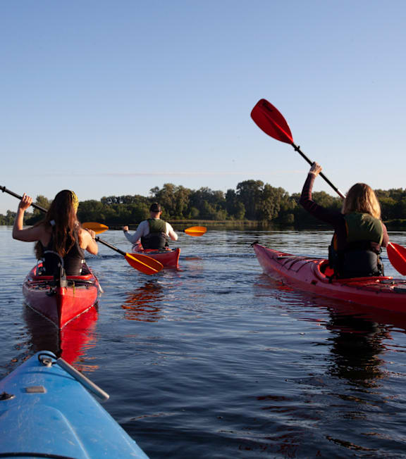 Three people kayaking on a calm body of water.
