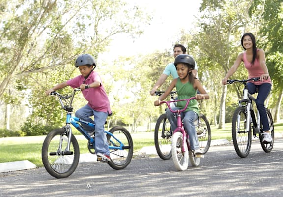 Three children riding bikes on a sunny day.
