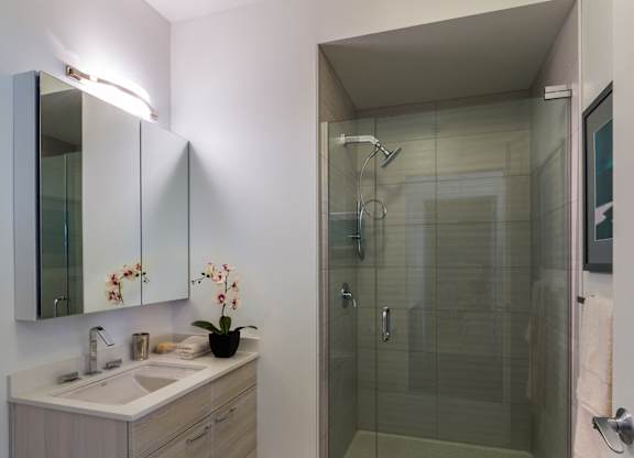 Bathroom at 73 East Lake, Illinois