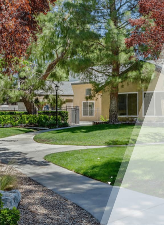 a photo of a yard with a house in the background