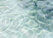 Thumbnail 3 of 4 - ripples in the shallow water of the ocean