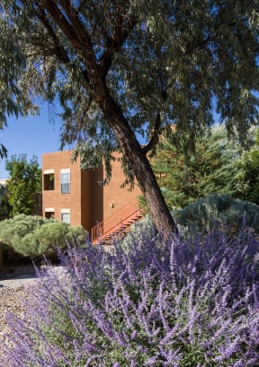 Beautiful Landscaping at Apartments in Santa Fe