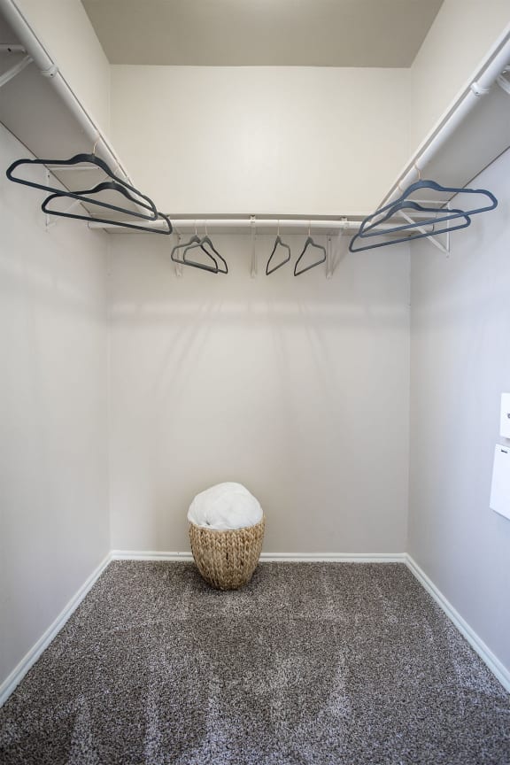 Tyler, TX Apartments for Rent - Summerwood - Large Closet with Carpet Flooring