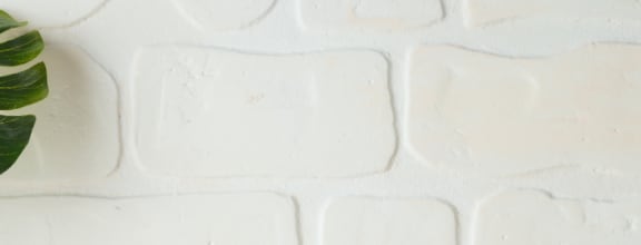 a large green leaf on a white brick wall