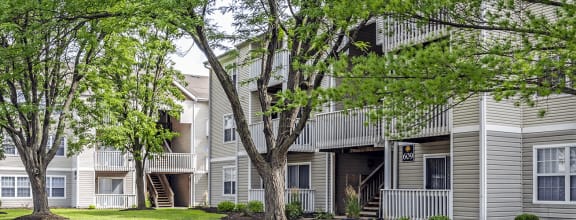our apartments have a spacious courtyard with trees