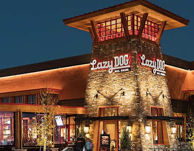 The exterior of a Lazy Dog restaurant is shown at night.
