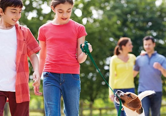 A family of four walking in a park with a dog.