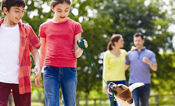 A family of four walking in a park.