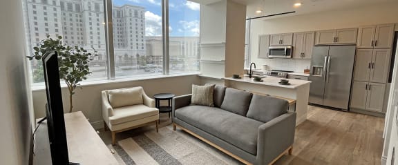 Living room at Residences at 55, Ohio