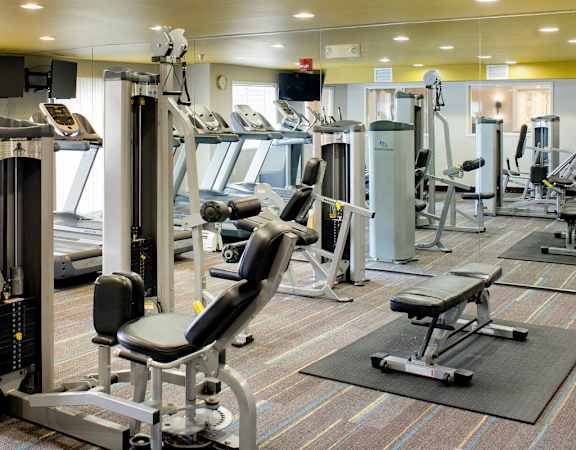 A gym with a variety of equipment including treadmills, weights, and benches.