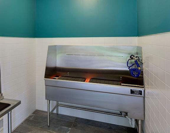 Dog Wash at Eden Commons, Minnesota, 55344