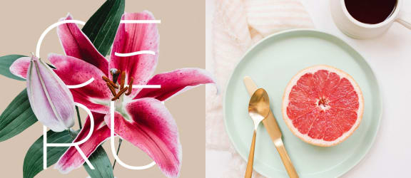 a pink flower and a slice of grapefruit on a plate