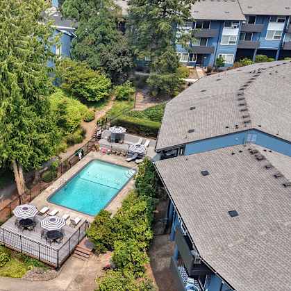 A swimming pool is surrounded by trees and a building.