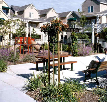 A sunny day at a residential area with a bench and a tree.