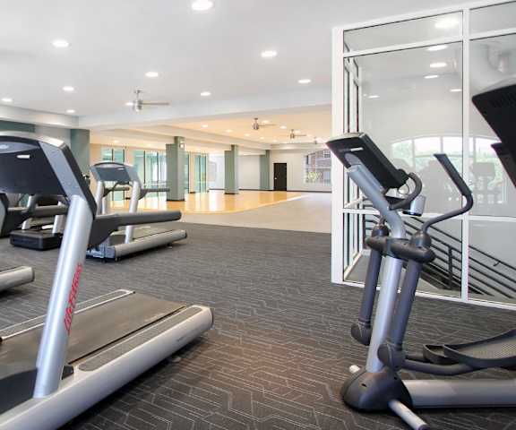 A gym with treadmills and elliptical machines.