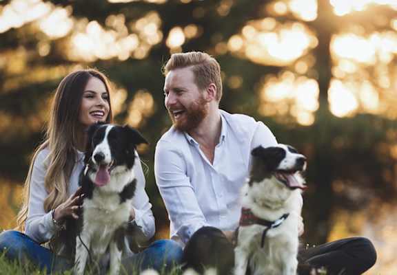couple sitting with two dogs sitting in grass